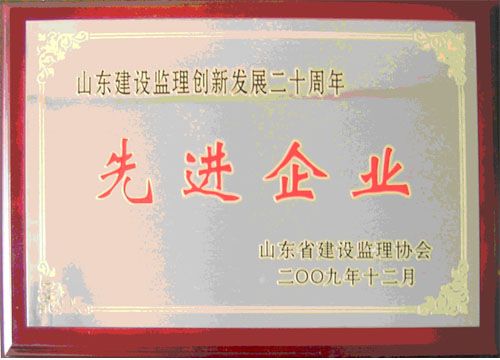 点击查看详细信息<br>标题：山东建设监理创新发展二十周年先进企业 阅读次数：5551