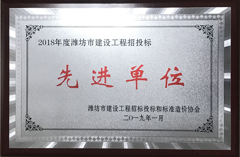 点击查看详细信息<br>标题：2018年度招标代理先进单位 阅读次数：1911